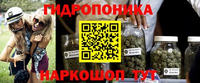 дурь Камышлов