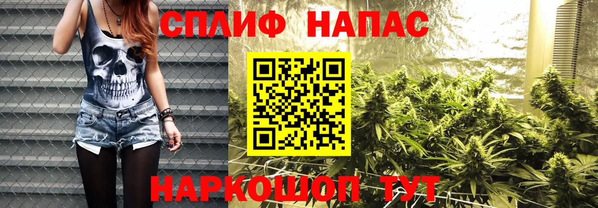 Бошки Шишки THC 21%  Бошки Шишки планчик  Истра  Вход с VPN 