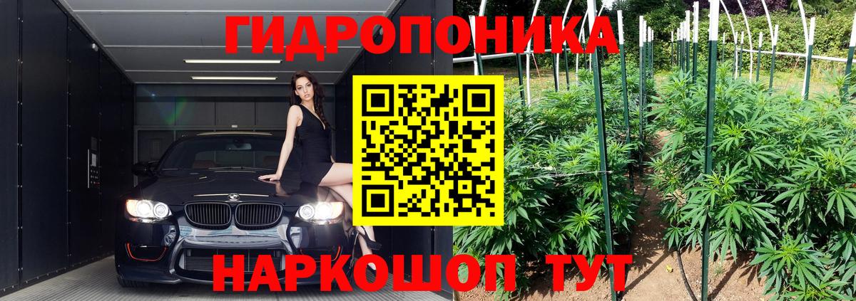 Каннабис гибрид Истра